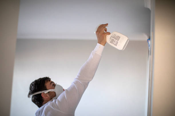 Best Certified Mold Removal  in Lac Du Flambeau, WI
