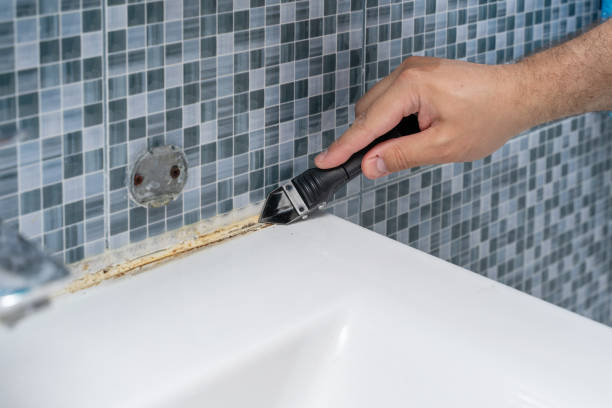 Best Home Mold Removal  in Lac Du Flambeau, WI